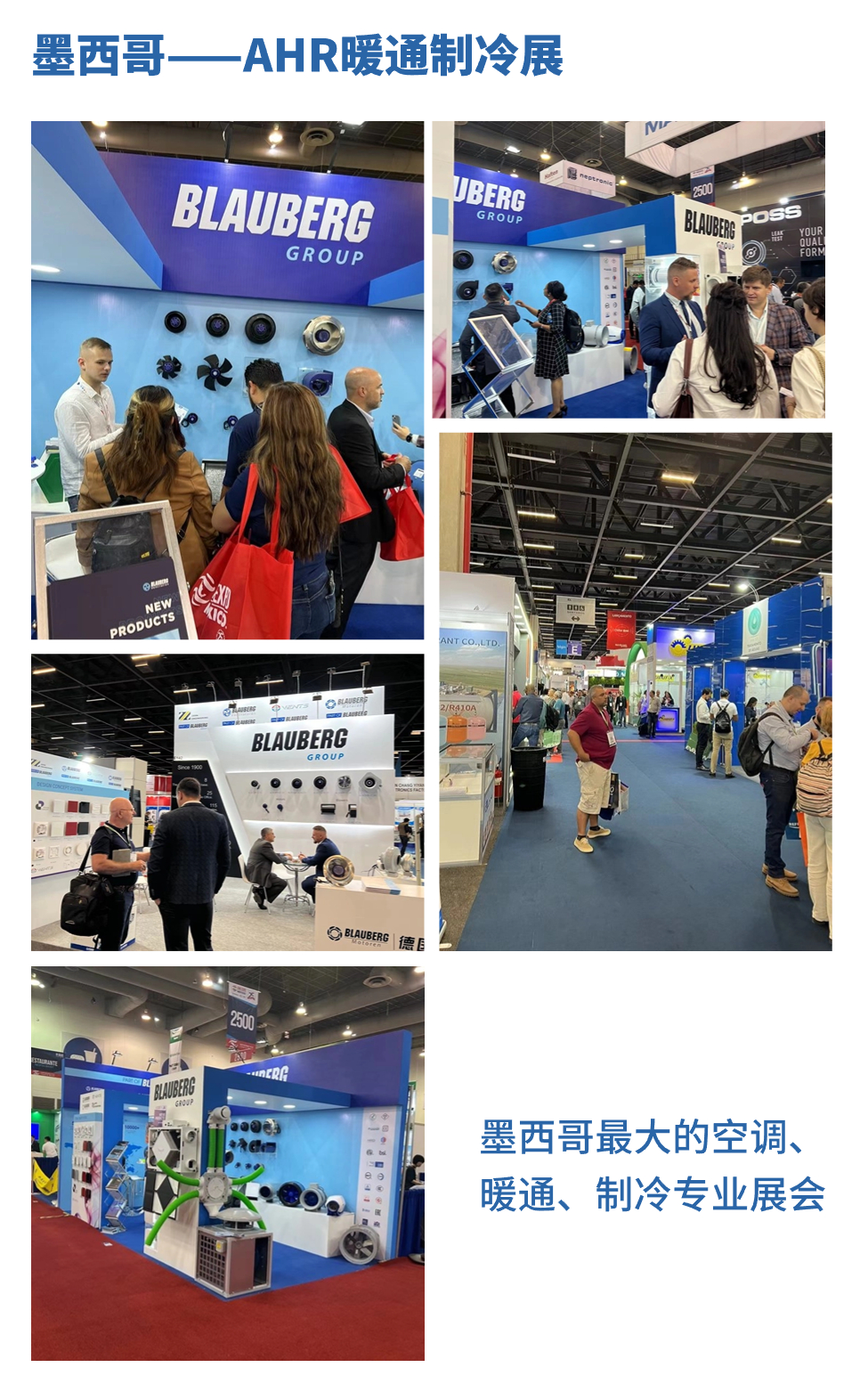 墨西哥拼图 (2).jpg